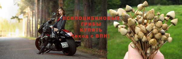 твердый Армянск