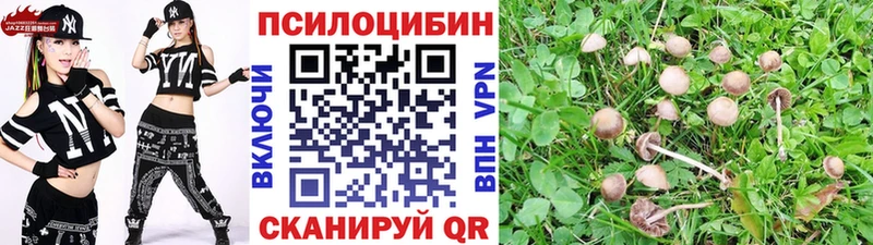 Галлюциногенные грибы MAGIC MUSHROOMS Красный Кут