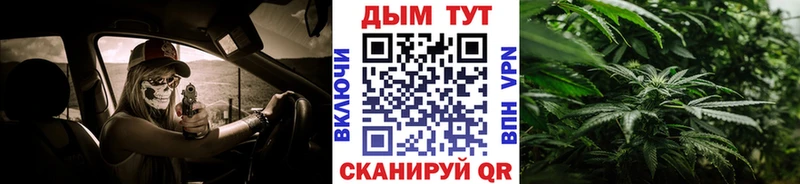 Каннабис семена  дарнет шоп  Красный Кут 